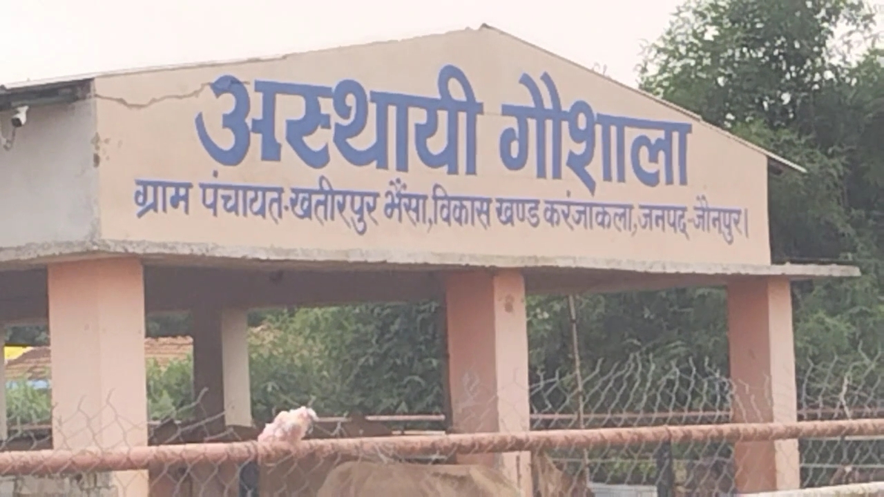 खतीरपुर भैंसा गौशाला का प्रशासनिक टीम ने किया निरीक्षण, कीचड़ से बचाव के लिए शुरू हुआ खड़ंजा बिछाने का काम